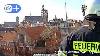 Stralsund: Ausbildungsberufe rund ums Blaulicht vorgestellt - Ostsee Zeitung