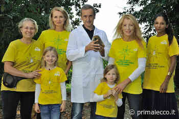 Al Cras Stella del Nord parte il corso per volontari - Prima Lecco