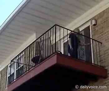 Body Cam Recordings Of Fatal Edison Police-Involved Shooting Released - Daily Voice