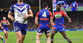 Dogs bottom as Knights snap losing streak - Gloucester Advocate