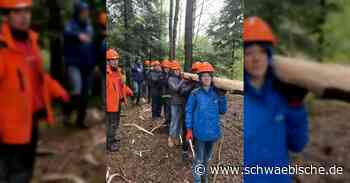 Technik trifft Forst | schwäbische - Schwäbische