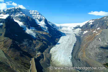 Charges laid in Jasper icefield crash - My Lethbridge Now