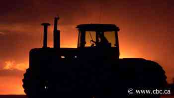 Trends show fewer farms, aging population of farmers in Sask.: StatsCan