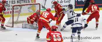 Une longue saison d’apprentissage pour le Drakkar