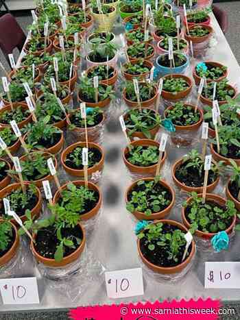 Students' skills blossom with flower business | Sarnia & Lambton County This Week - Sarnia and Lambton County This Week