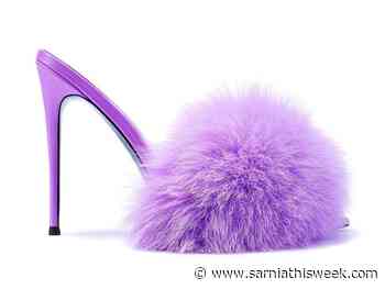 Fab 5: 20 years of Asian Heritage Month | Sarnia & Lambton County This Week - Sarnia and Lambton County This Week