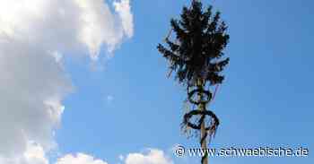Dieses Dorf hat den schönsten Maibaum im Raum Laichingen - Schwäbische