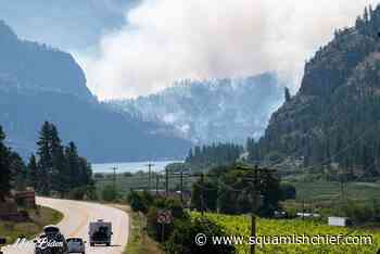 How BC wildfires can increase lung cancer and brain tumours - Squamish Chief
