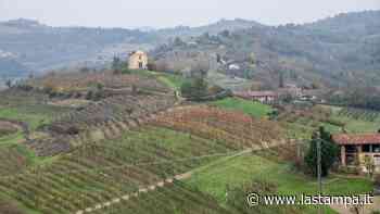 Si va di freisa in freisa a Chieri, dal 13 al 15 maggio - La Stampa