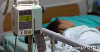 Isolati tre casi di malaria all’ospedale di Modena: sono tre sorelline di ritorno da viaggio in Nigeria - Fanpage.it