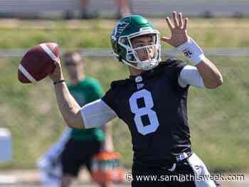 McNuggets: Riders' Mason Fine was slingin' in the rain - Sarnia and Lambton County This Week