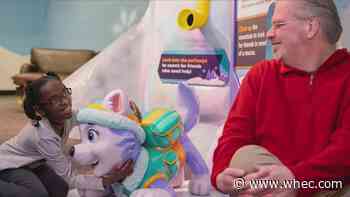 Paw Patrol exhibit comes to The Strong