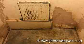 Dog was locked inside filthy 'cell' all day long by cruel family - Grimsby Live