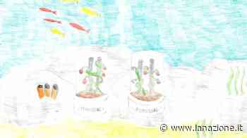 Scuola secondaria di I grado Scolopi - Classe III - LA NAZIONE