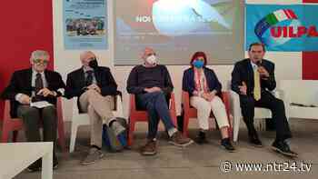 Congresso UILPA Benevento: riconfermato il segretario generale Luigi Maria Porrino - NTR24