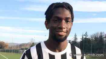 GdS: "Cuore Vicenza, Cosenza furioso. Tsadjout contro Lapadula: Ascoli-Benevento scotta" - Tutto B