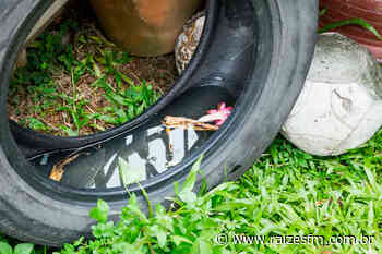 Capivari já registrou 53 pessoas com dengue em 2022; Secretaria de Saúde reforça sobre cuidados - Raízes FM