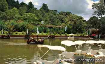 Parque Capivari, em Campos do Jordão, prepara festa para a criançada na Páscoa - Guia Campos