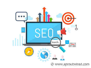 How to choose an SEO agency? - Sprout Wired