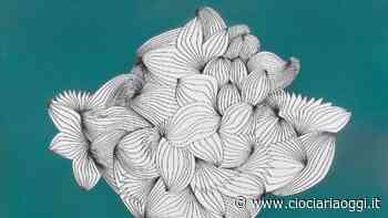 Cassino, La mostra di Corrado Cagli: circa quaranta le opere - ciociariaoggi.it