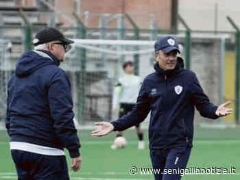Aldo Clementi sarà l'allenatore della Vigor Senigallia anche in Serie D - Senigallia Notizie