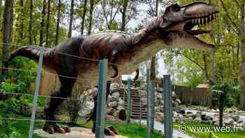 Coudekerque-Branche : un parc de dinosaures va ouvrir ses portes en juin ! - 11/05/2022 - Wéo