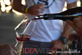 Il 22 maggio ad Alba: la Festa del Vini Autoctoni del Piemonte di Go Wine - IdeaWebTv