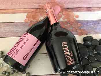 Conti di Buscareto: le 3 tipologie di Lacrima di Morro D'Alba | Gazzetta del Gusto - La Gazzetta del Gusto