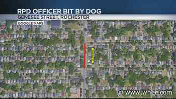 Rochester Police officer bit by dog