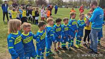 Fußball-Turniere für Nachwuchs: BSV Veritas-Bambini bewerben sich um Ausrichtung der Endrunde - svz – Schweriner Volkszeitung
