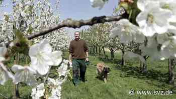 Kleingärter im Grapenweg Wittenberge werden entschädigt - svz – Schweriner Volkszeitung