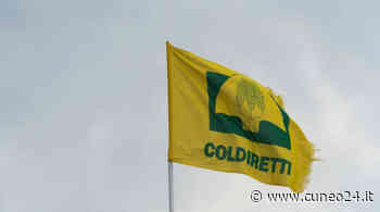Coldiretti Cuneo: spesa degli stranieri in Italia quadruplica nel 2022 - Cuneo24