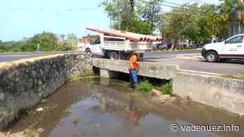Ayuntamiento de Manzanillo continúa con el desazolve de canales para evitar inundaciones - Noticias Va de Nuez