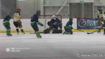 National Aboriginal Hockey Championships underway in Cape Breton - CBC.ca