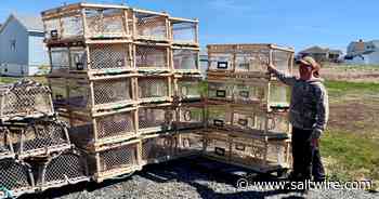 'I'm ready to go now': Eastern Cape Breton lobster fishers to hit the water on Sunday - Saltwire