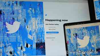 Elon Musk will Donald Trumps Twitter-Rückkehr: Kann das Internet so sicher werden? - t-online