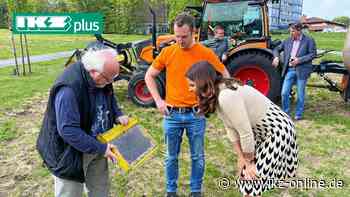 Wie Bienen in Iserlohn ein neues Zuhause bekommen - IKZ News