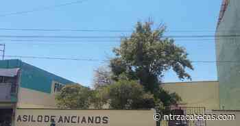 Sin recursos para operaciones, Asilo de Ancianos de Fresnillo - NTR Zacatecas .com