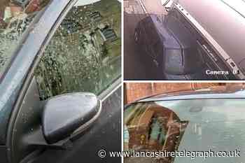 Council apologises after wagon sprays car with 'smelly' bin juice