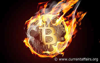 Why This Computer Scientist Says All Cryptocurrency Should “Die in a Fire” Current Affairs - Current Affairs