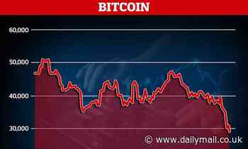 All you need to know about cryptocurrency as Bitcoin value plummets - Daily Mail