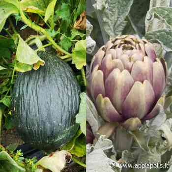 AL DIPARTIMENTO DI ECONOMIA AZIENDALE DI CAPUA IL MOMENTO DELLA VERITÀ: DOMANI DEGUSTAZIONE DEI LIQUORI DI... - Appia Polis