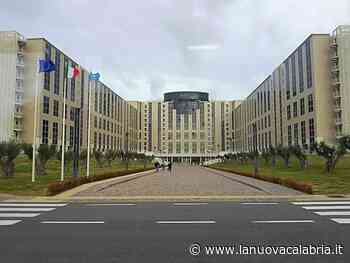 Regione, Lentini (RSU): "Il piano del fabbisogno non pensa ai dipendenti e ai calabresi" - La Nuova Calabria