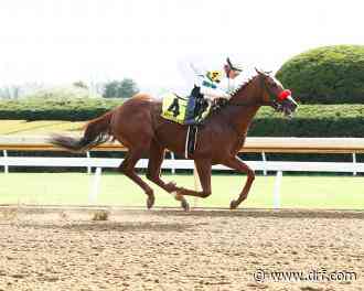 O'Neill makes stakes plans for his 3-year-olds - Daily Racing Form