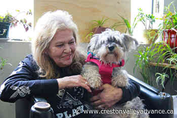 Overdose detecting dogs save lives, lift spirits in Vancouver's Downtown Eastside – Creston Valley Advance - Creston Valley Advance