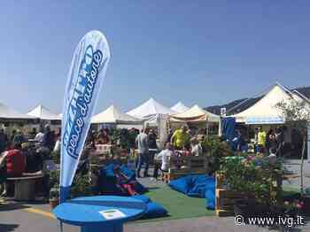 Al porto di Andora torna “Azzurro Pesce d’Autore”: dal mare ai sentieri il territorio è protagonista - IVG.it