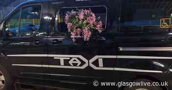 Glasgow taxi rank disturbance sees yob chuck plant pot through hackney window - Glasgow Live