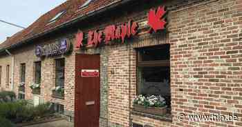 The Mapple viert Stoepekermis met bierproeven en concerten - Het Laatste Nieuws