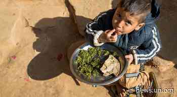 'Coalition of the willing' to ensure healthy diets from sustainable food systems - UN News