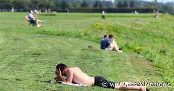 Mini heatwave begins across Essex today as temperatures soar - Essex Live